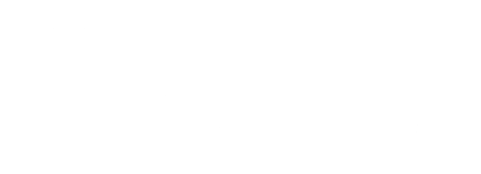 Elite Expert Cleaners